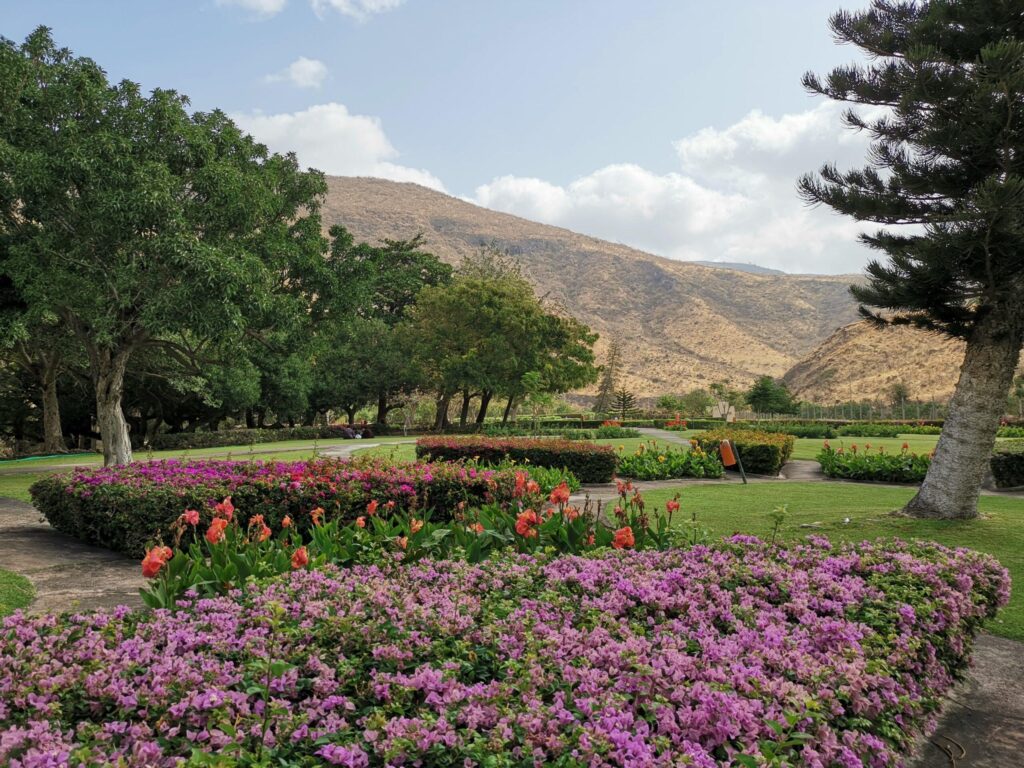 Ayn Razaat spring and gardens, Salalah East Tour