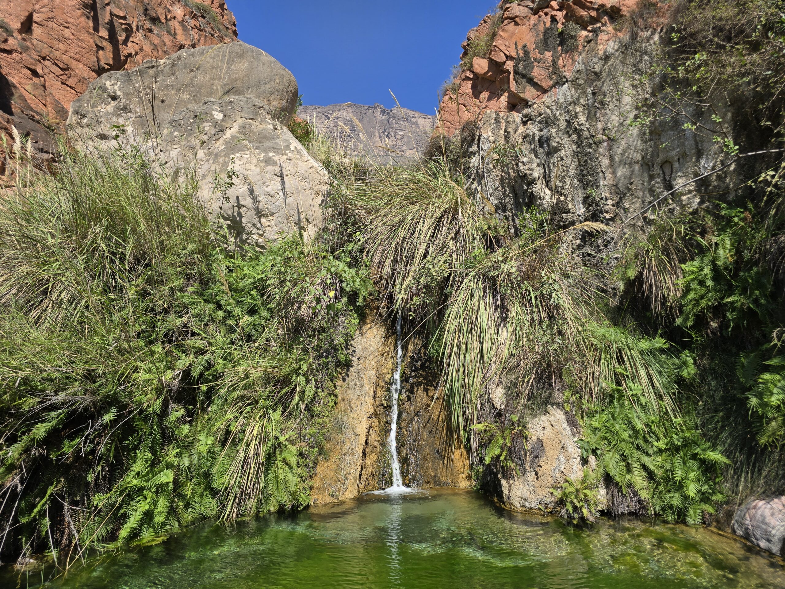 Laga Shaylon spring, East of Salalah Tour